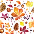 Pattern Autumn leaves watercolors Maple Leaf on white background. Coloured bright leaves hand-painted, paint, taktura Royalty Free Stock Photo