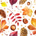 Pattern Autumn leaves watercolors Maple Leaf on white background. Coloured bright leaves hand-painted, paint, taktura Royalty Free Stock Photo