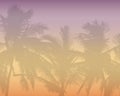 Pattern or background with realistic silhouette of tree tops, tropical palm trees, with morning orange-pink sky and with space for