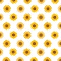 Pattern background sunflower vector illustration Royalty Free Stock Photo