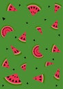 Pattern background with watermelon flat summer style. Vector