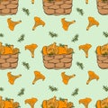 Pattern with basket with chanterelle mushrooms and moss. Royalty Free Stock Photo