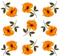 Pattern of beautiful yellow flowers. Royalty Free Stock Photo
