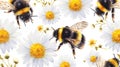 pattern of bees and daisies in watercolor style on a cut-out white background, ideal as wallpaper