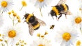 pattern of bees and daisies in watercolor style on a cut-out white background, ideal as wallpaper