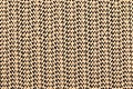 Beige lace rubber grid on a black background