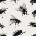 Pattern of the big flies