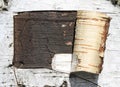 Pattern of birch bark with black birch stripes on white birch bark Royalty Free Stock Photo