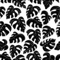 pattern of black palm leaves on white background