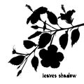 Pattern with black tropical hibiscus leaves and flower silhouette shadow isolated on white background Royalty Free Stock Photo