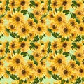 The pattern of blooming yellow flowers sunflower painted in watercolor