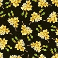 Pattern with blooming yellow twigs Forsythia