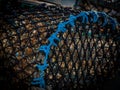 Pattern of Blue Rope on Black Mesh of a Lobster Pot Royalty Free Stock Photo