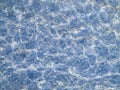 Pattern of blue water reflecting the sunlight Royalty Free Stock Photo
