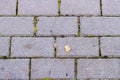 Pattern of brick block on walkway, triangle block is difference, zigzag blocks texture. Royalty Free Stock Photo