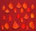 Pattern of bright autumn leaves against the background of the colors of poppy sunset. Creative space for poster design