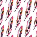 Pattern with bright colored feathers