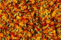 Pattern of brightly coloured orange and yellow floral garlands at a local market in Varanasi, India