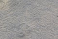 Pattern of brown river sand with trail marks of water wave Royalty Free Stock Photo