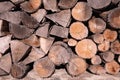 Pattern of brown wood log background texture Royalty Free Stock Photo