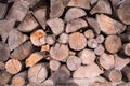 Pattern of brown wood log background texture Royalty Free Stock Photo