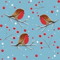 Pattern with bullfinch birds on a blue background