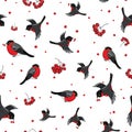 Pattern bullfinches and rowan berries on a white background