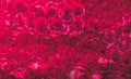 Pattern of bunch of red roses background Royalty Free Stock Photo