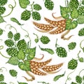 Pattern of bunches of wheat ears and green hops watercolor