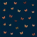 Pattern of a butterfly. Cute moths and moths on the backing. Postcard with soaring multicolored, winged, with antennae