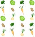 Pattern of vegetables on a white background