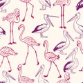 Pattern of the cartoon pelicans and flamingos