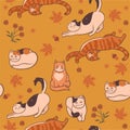 Pattern with cats, flowers and leaves. Autumn mood. Vector image Royalty Free Stock Photo