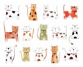 Pattern with cats over white background