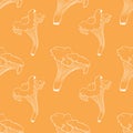 Pattern with Chanterelle mushrooms, white outline, hand-drawn on an orange background.