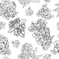 Pattern of cherry and apple tree blossom and branch sketch Royalty Free Stock Photo