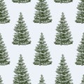 Pattern of the christmas trees