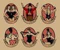 Pattern of the circus.