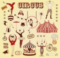 Pattern of the circus