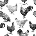 Pattern of the and hens sketches