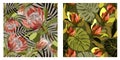 Pattern collection consists of two seamless patterns with proteas and tropical leaves Royalty Free Stock Photo