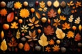 Pattern of colorful autumn leaves on black. Thanksgiving or halloween background