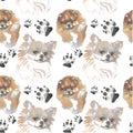 Pattern - companion dog Royalty Free Stock Photo