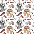 Pattern - companion dog Royalty Free Stock Photo