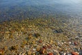 A pattern composed of a carpet of multi-colored stones, pebbles and rubble on a shore Royalty Free Stock Photo