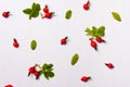 The pattern, composition of rose hips, berries, leaves. Flat lay Royalty Free Stock Photo