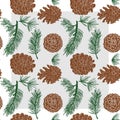 A pattern of Cones and fir branches drawn with a color fill.