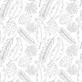 Pattern of contour tropical leaves on white background. Palm, monstera, fern. Botanical print, plant. Linear silhouettes