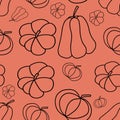 A pattern of contours of different types of pumpkins. Autumn vegetable harvest, vector Illustration of doodles on a red