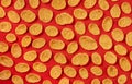 Pattern of corn flakes on red color background, top view